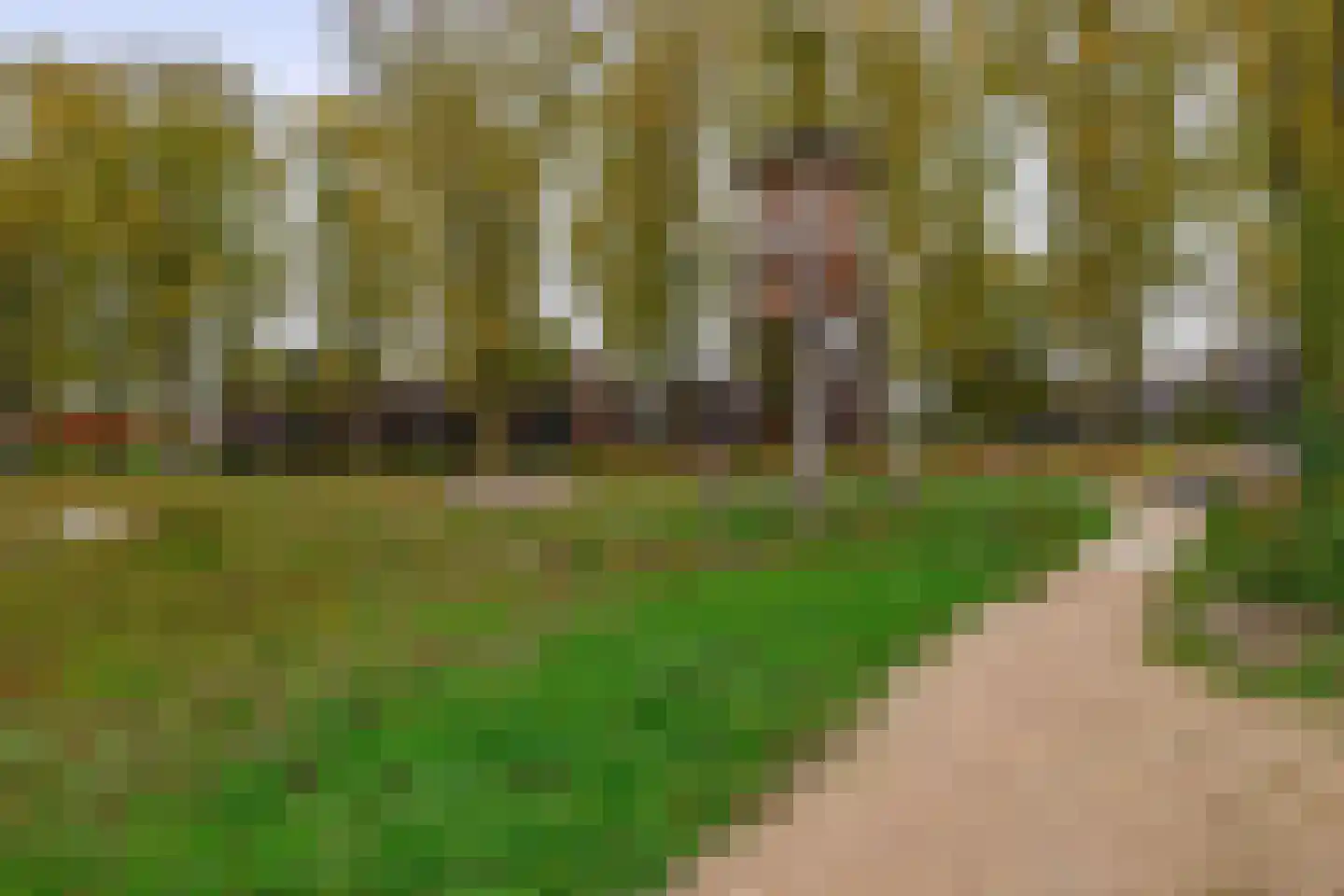 Bosuil 33 Eindhoven thumbnail 49