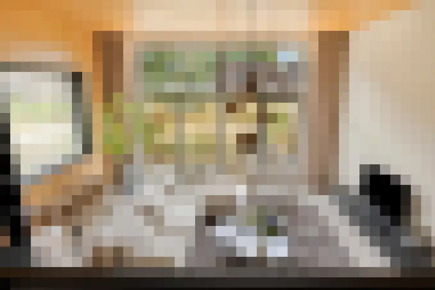 Bosuil 37 Eindhoven thumbnail 11