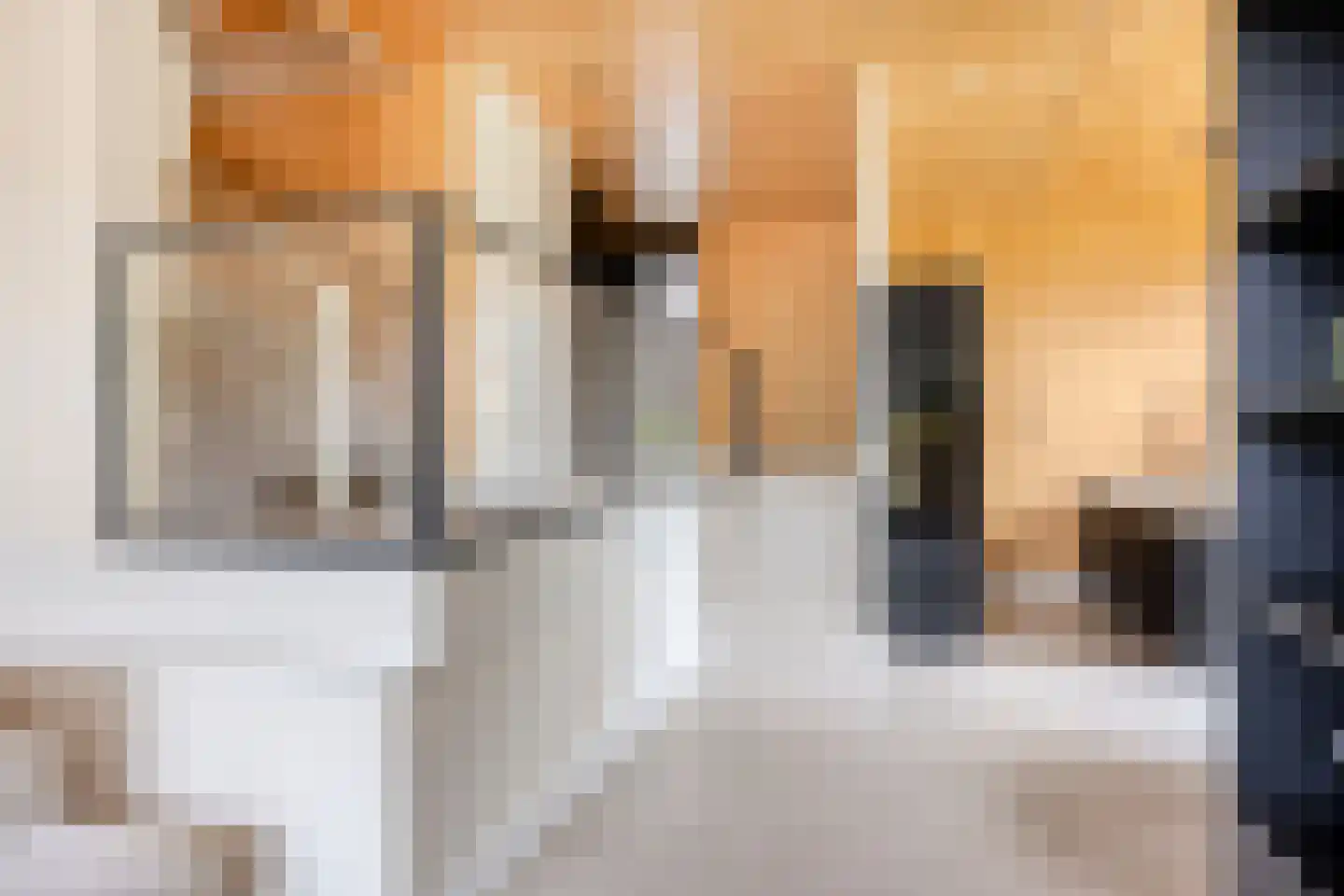 Bosuil 37 Eindhoven thumbnail 12