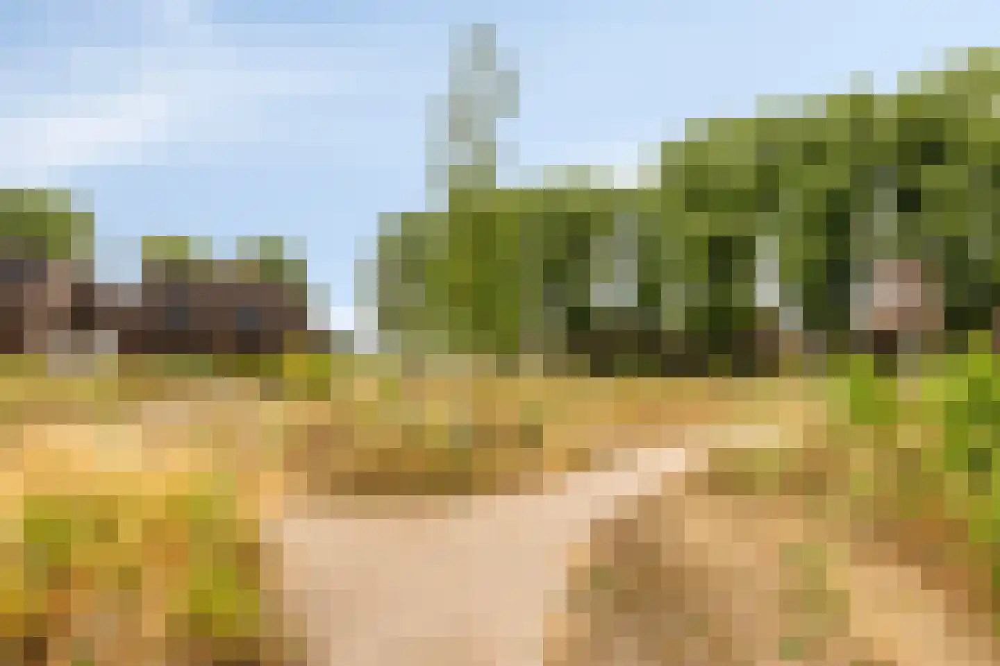 Bosuil 37 Eindhoven thumbnail 49