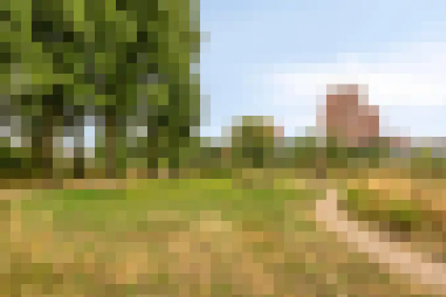 Bosuil 37 Eindhoven thumbnail 50
