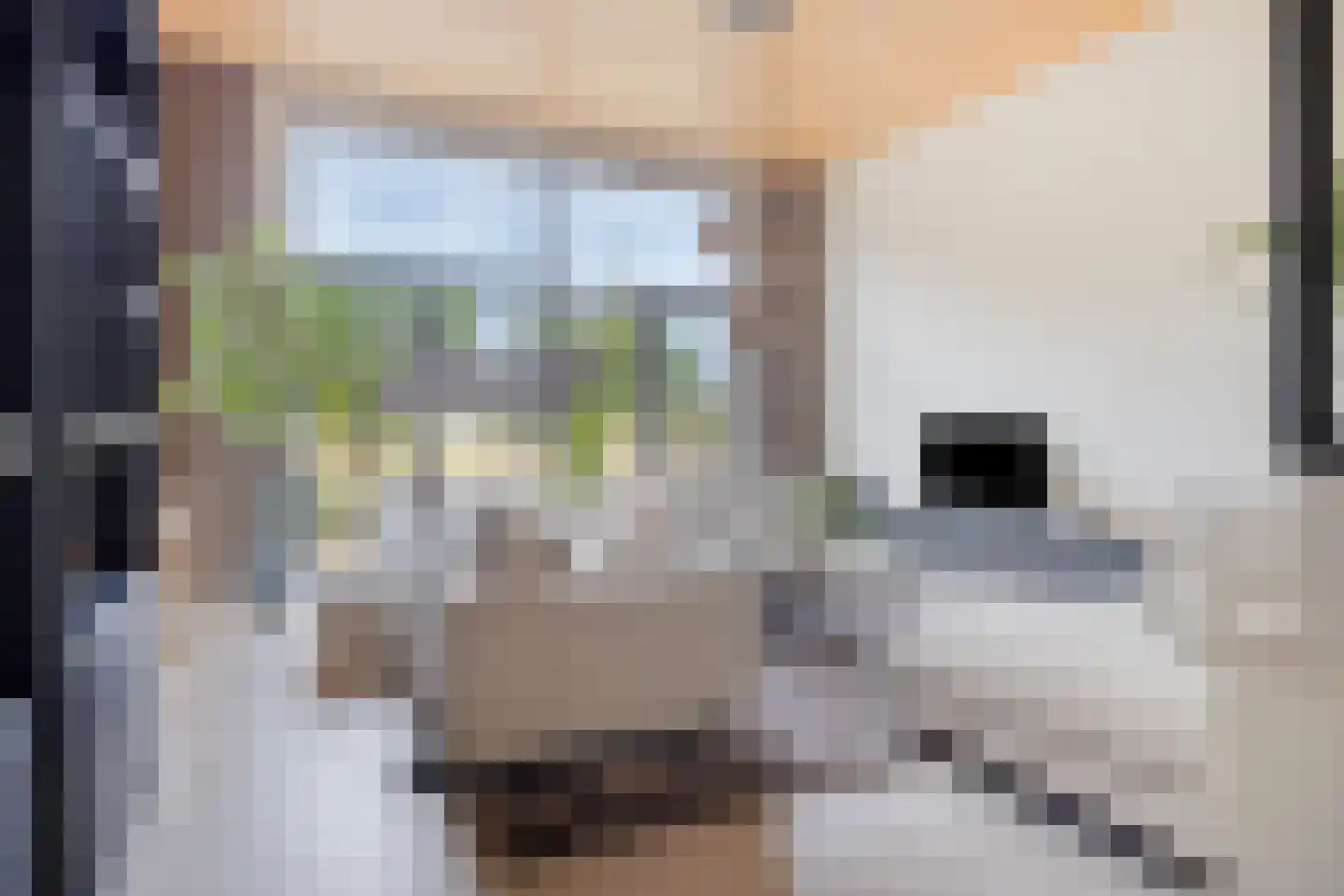 Bosuil 37 Eindhoven thumbnail 8