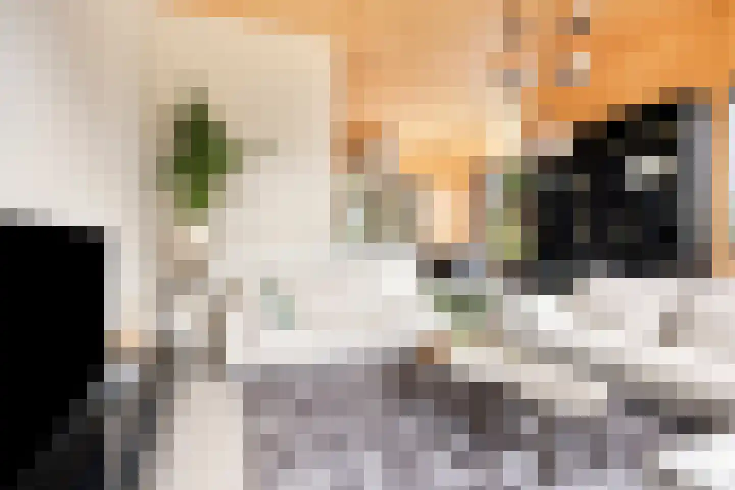 Bosuil 37 Eindhoven thumbnail 9