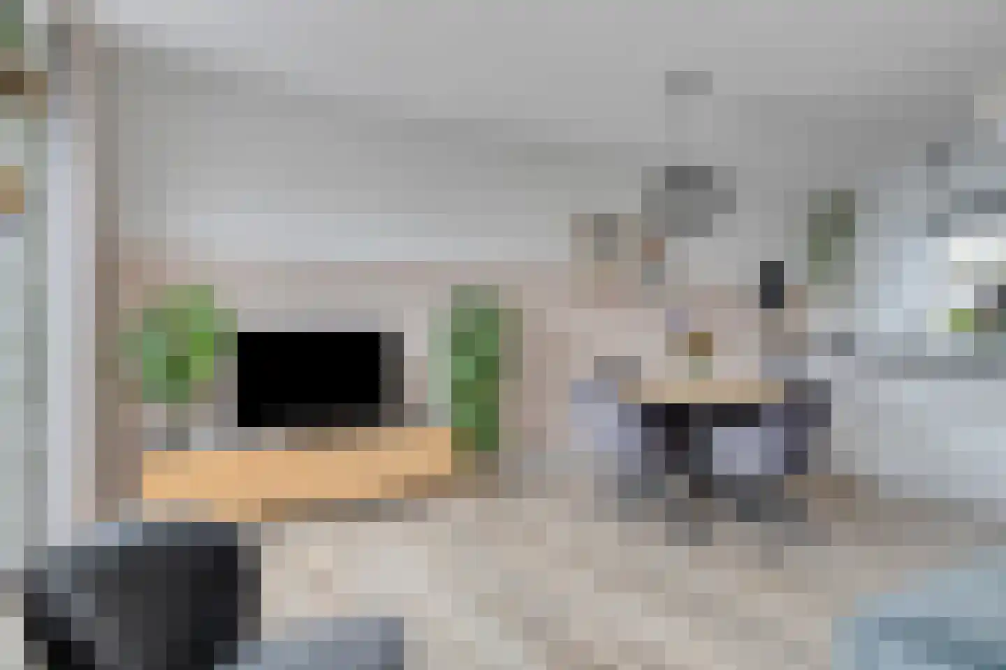 Bosuil 37 Lichtenvoorde thumbnail 10