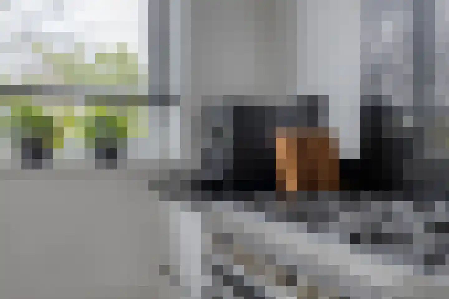 Bosuil 37 Lichtenvoorde thumbnail 16