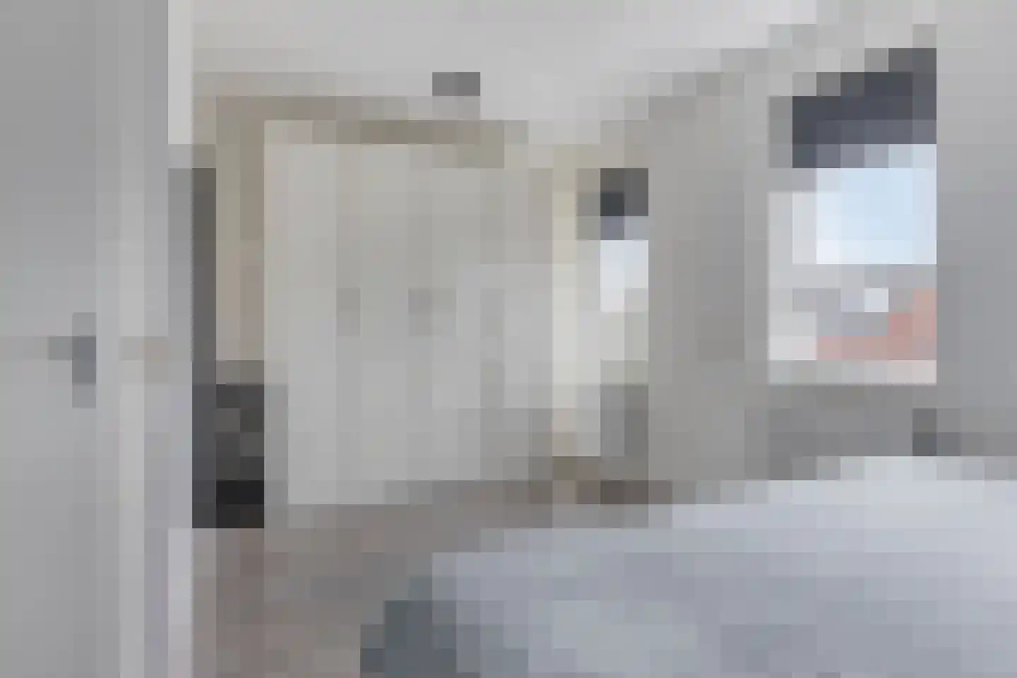 Bosuil 37 Lichtenvoorde thumbnail 22