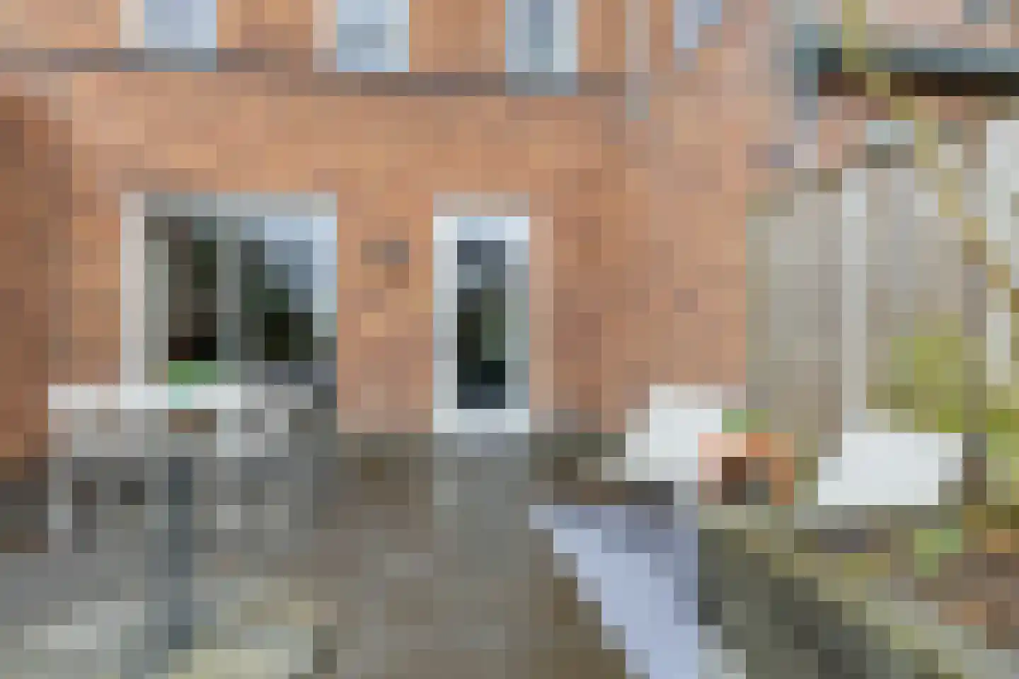 Bosuil 37 Lichtenvoorde thumbnail 34