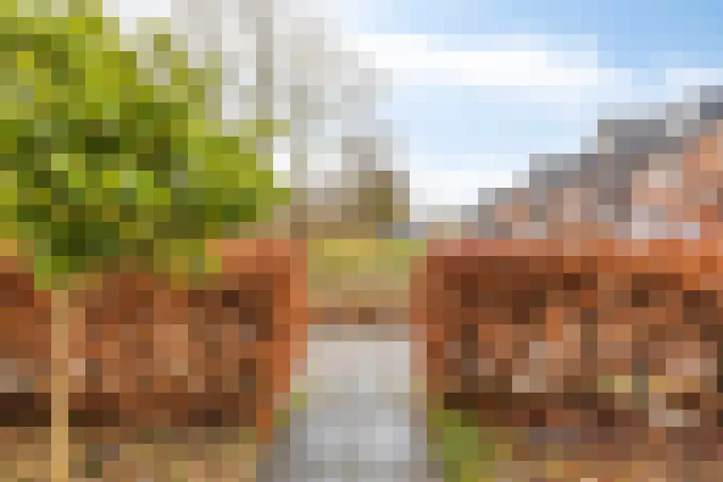 Bosuil 37 Lichtenvoorde thumbnail 6
