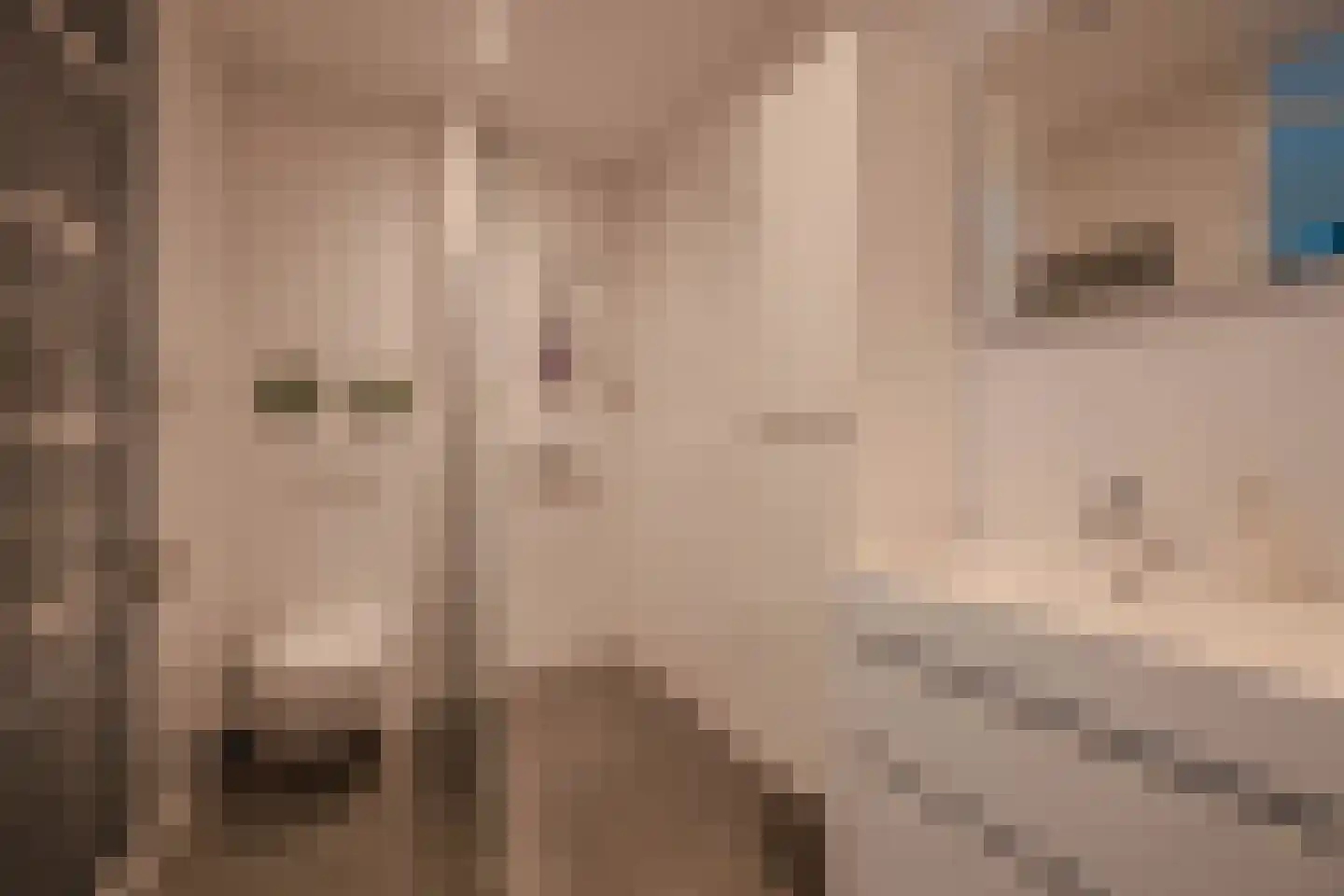 Bosuil 7 Venray thumbnail 26