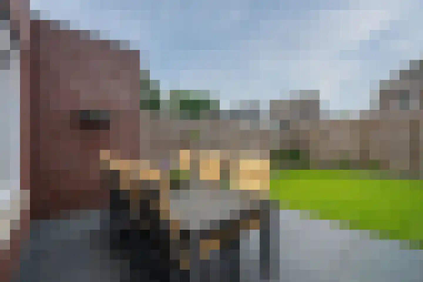 Bosuil 7 Venray thumbnail 34