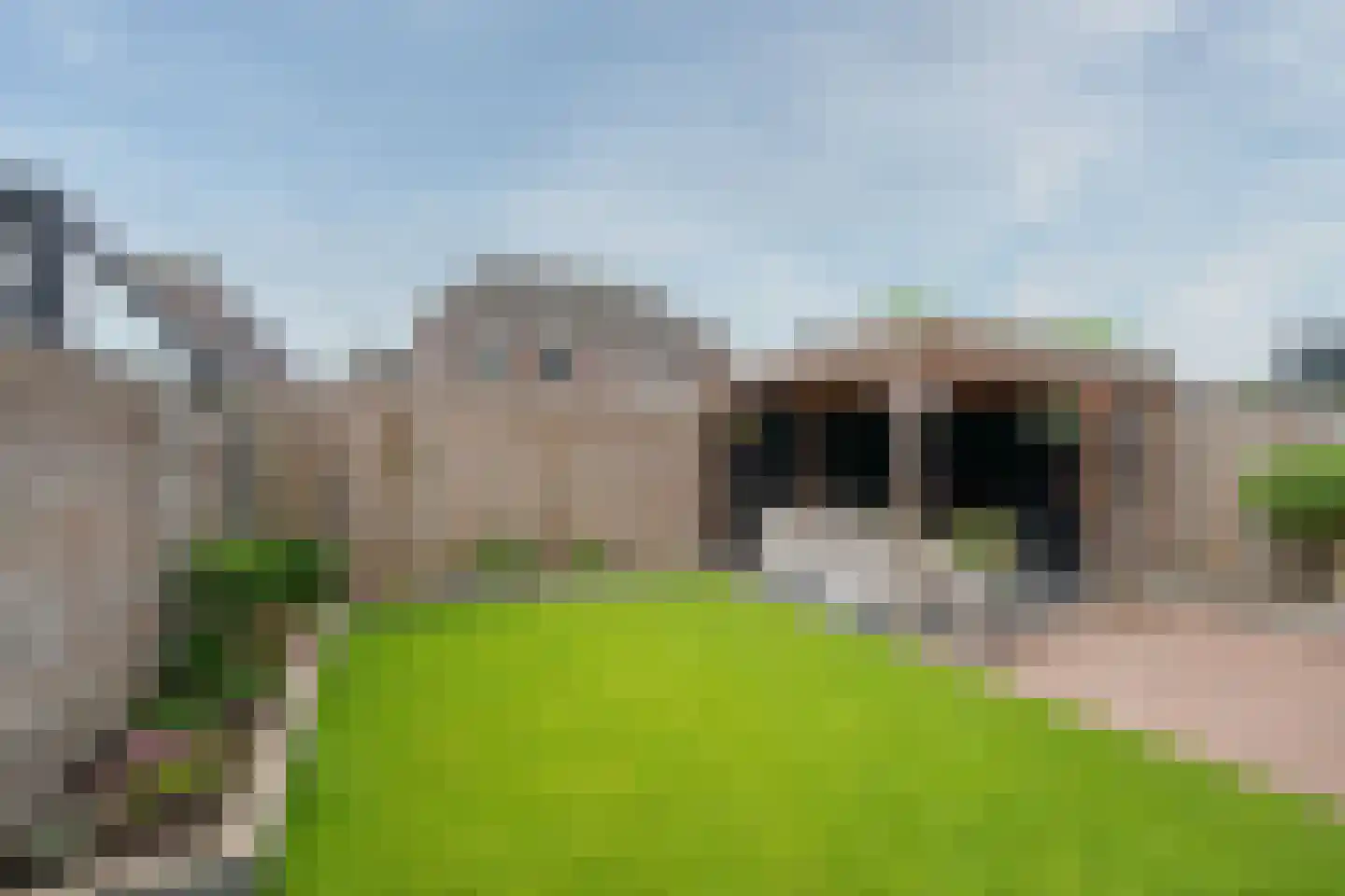 Bosuil 7 Venray thumbnail 36