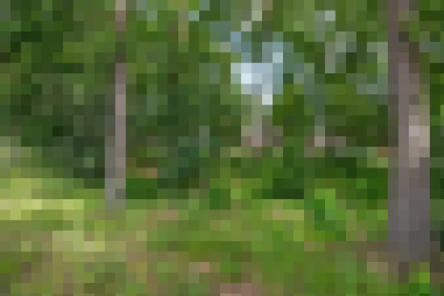 Bosuil 7 Venray thumbnail 47