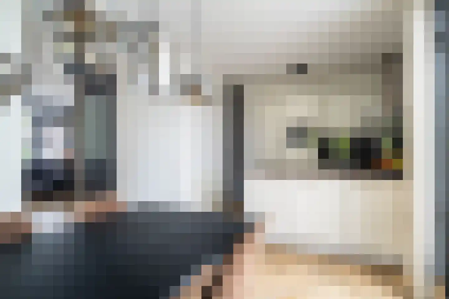 Bosuil 9 Brakel thumbnail 11