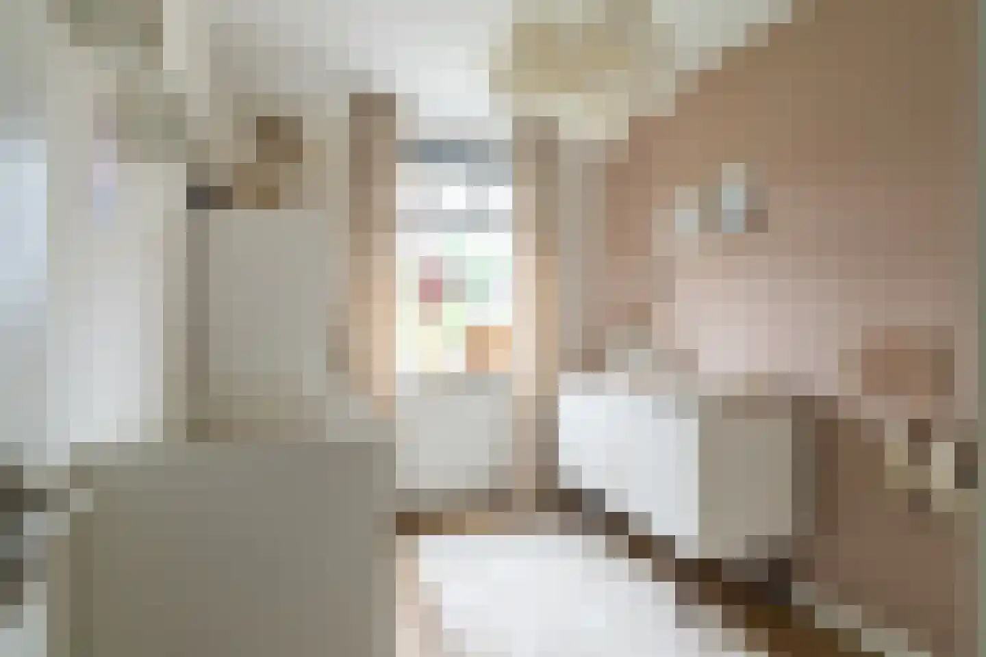 Bosuil 9 Brakel thumbnail 22