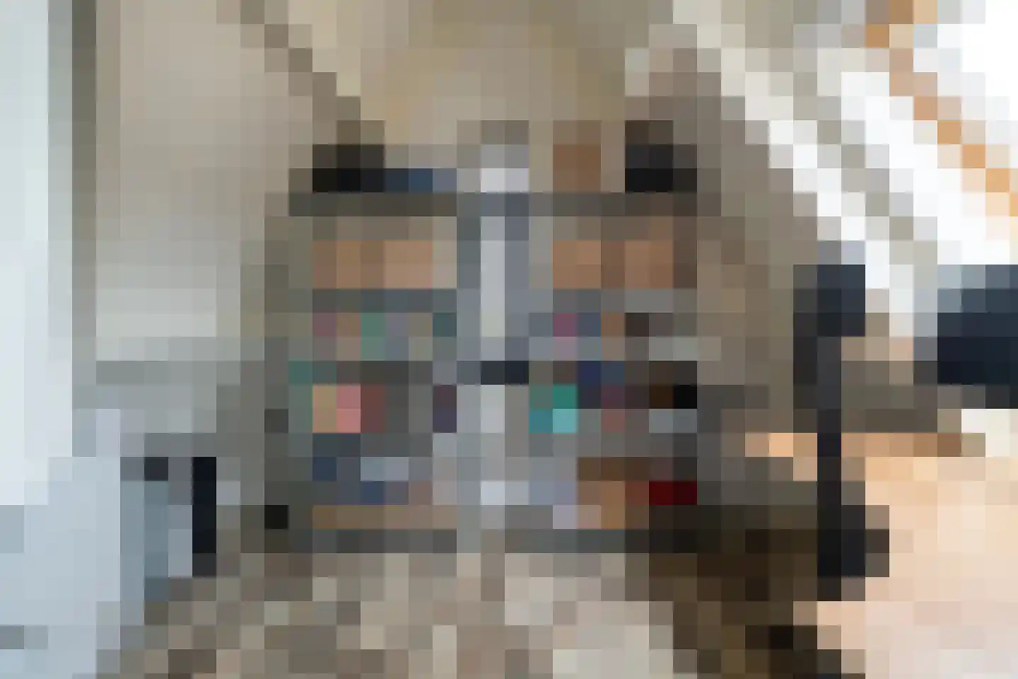 Bosuil 9 Brakel thumbnail 30