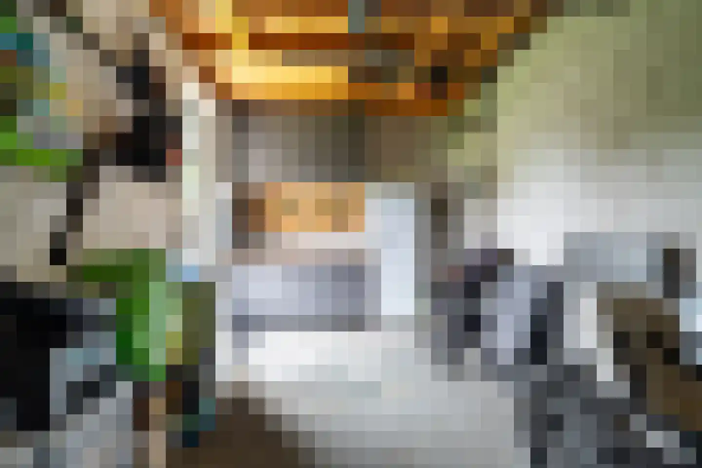 Bosuil 9 Brakel thumbnail 32