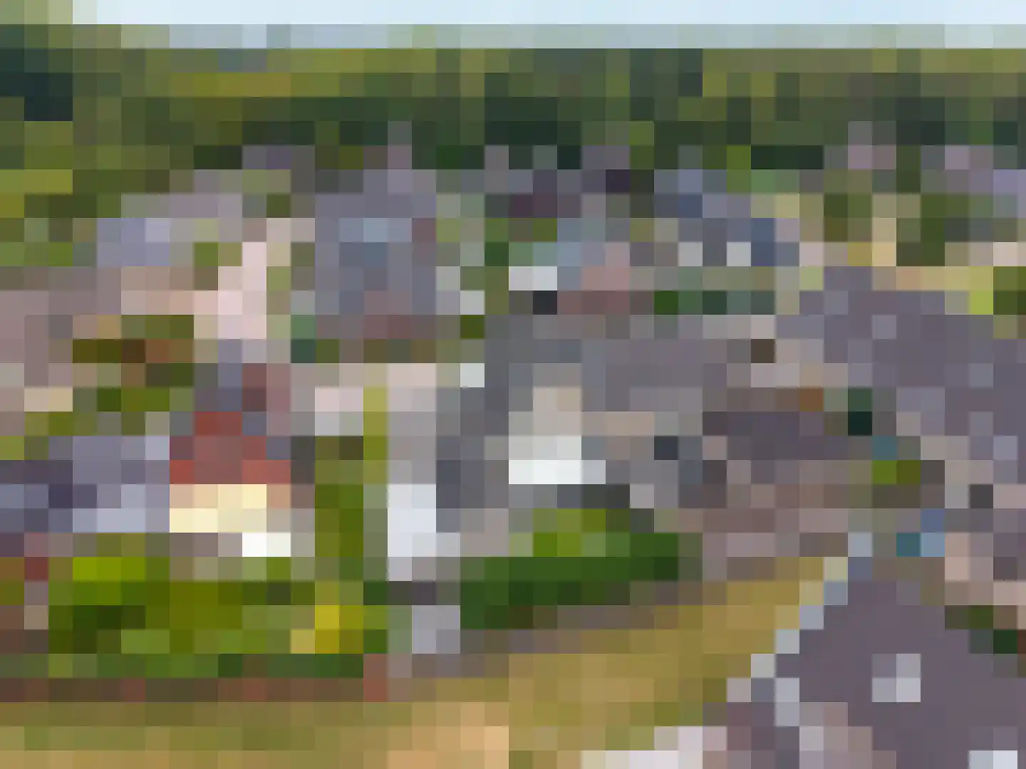 Bosuil 9 Brakel thumbnail 33