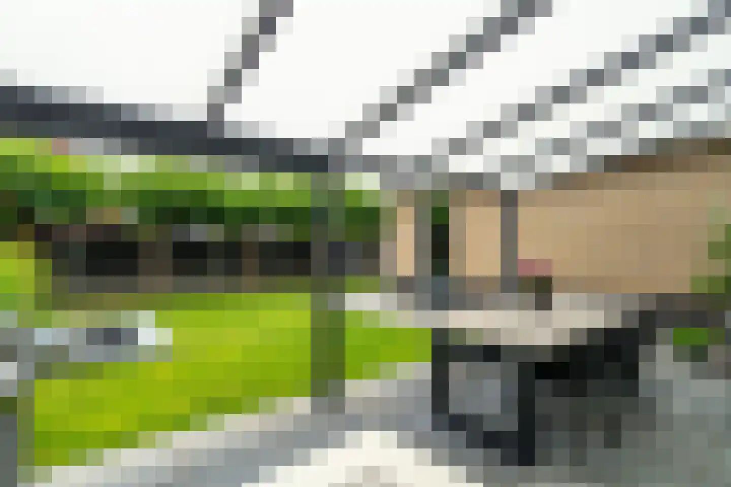 Bosuil 9 Brakel thumbnail 39