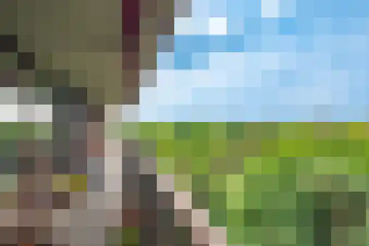 Bosuillaan 125 Bilthoven thumbnail 15