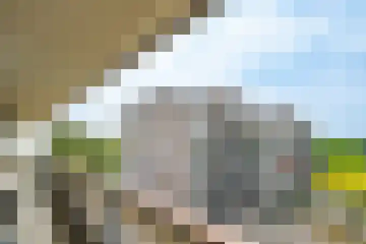 Bosuillaan 125 Bilthoven thumbnail 16