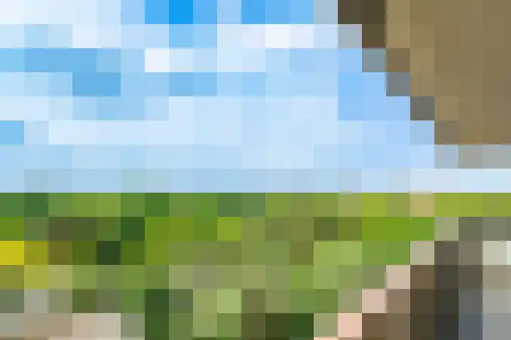 Bosuillaan 125 Bilthoven thumbnail 17