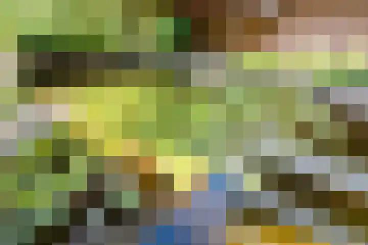 Bosuillaan 125 Bilthoven thumbnail 39