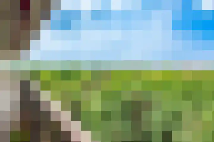 Bosuillaan 125 Bilthoven thumbnail 4