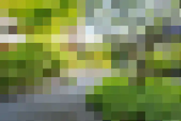 Bosuillaan 125 Bilthoven thumbnail 40