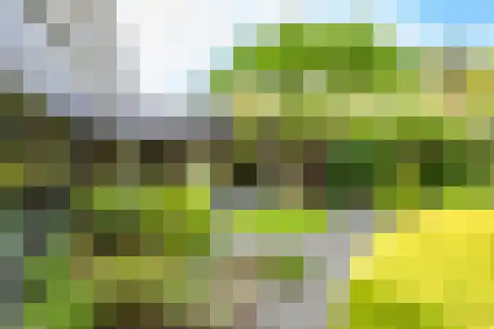 Bosuillaan 125 Bilthoven thumbnail 41