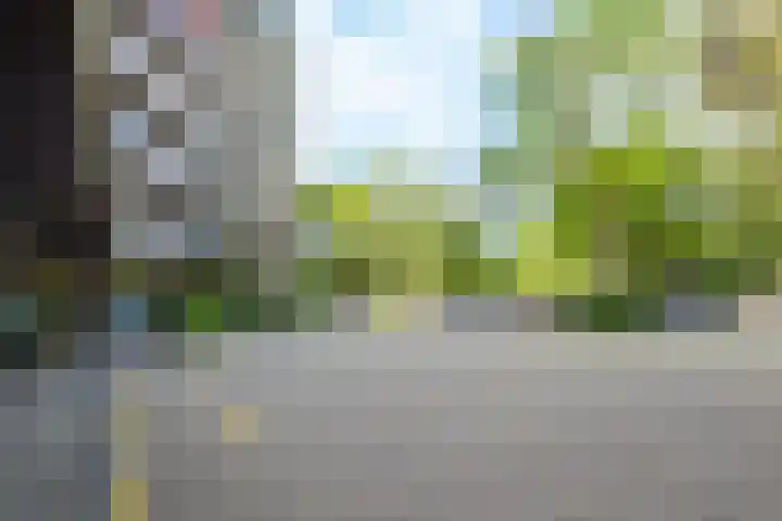 Bosuillaan 125 Bilthoven thumbnail 42