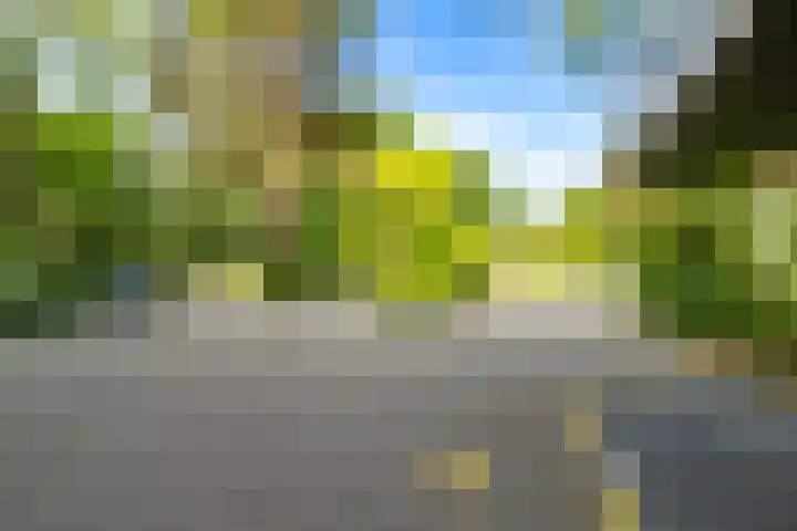 Bosuillaan 125 Bilthoven thumbnail 44