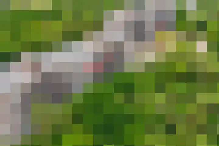 Bosuillaan 125 Bilthoven thumbnail 48