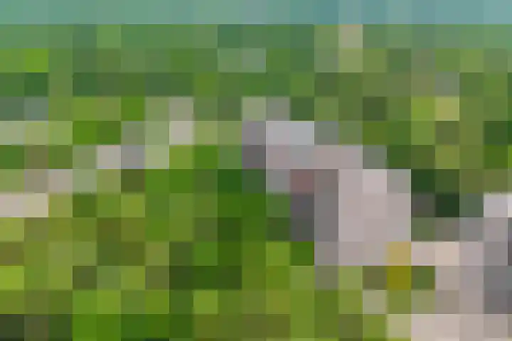 Bosuillaan 125 Bilthoven thumbnail 49