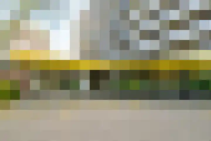 Bosuillaan 125 Bilthoven thumbnail 5