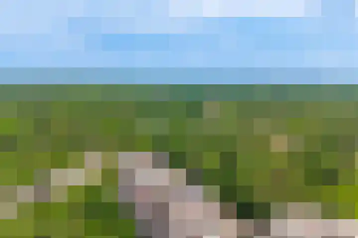 Bosuillaan 125 Bilthoven thumbnail 50