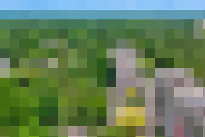 Bosuillaan 125 Bilthoven thumbnail 52
