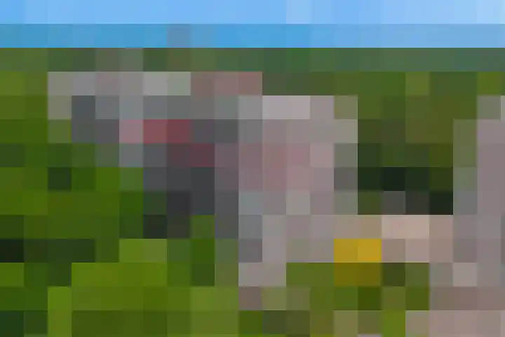 Bosuillaan 125 Bilthoven thumbnail 65