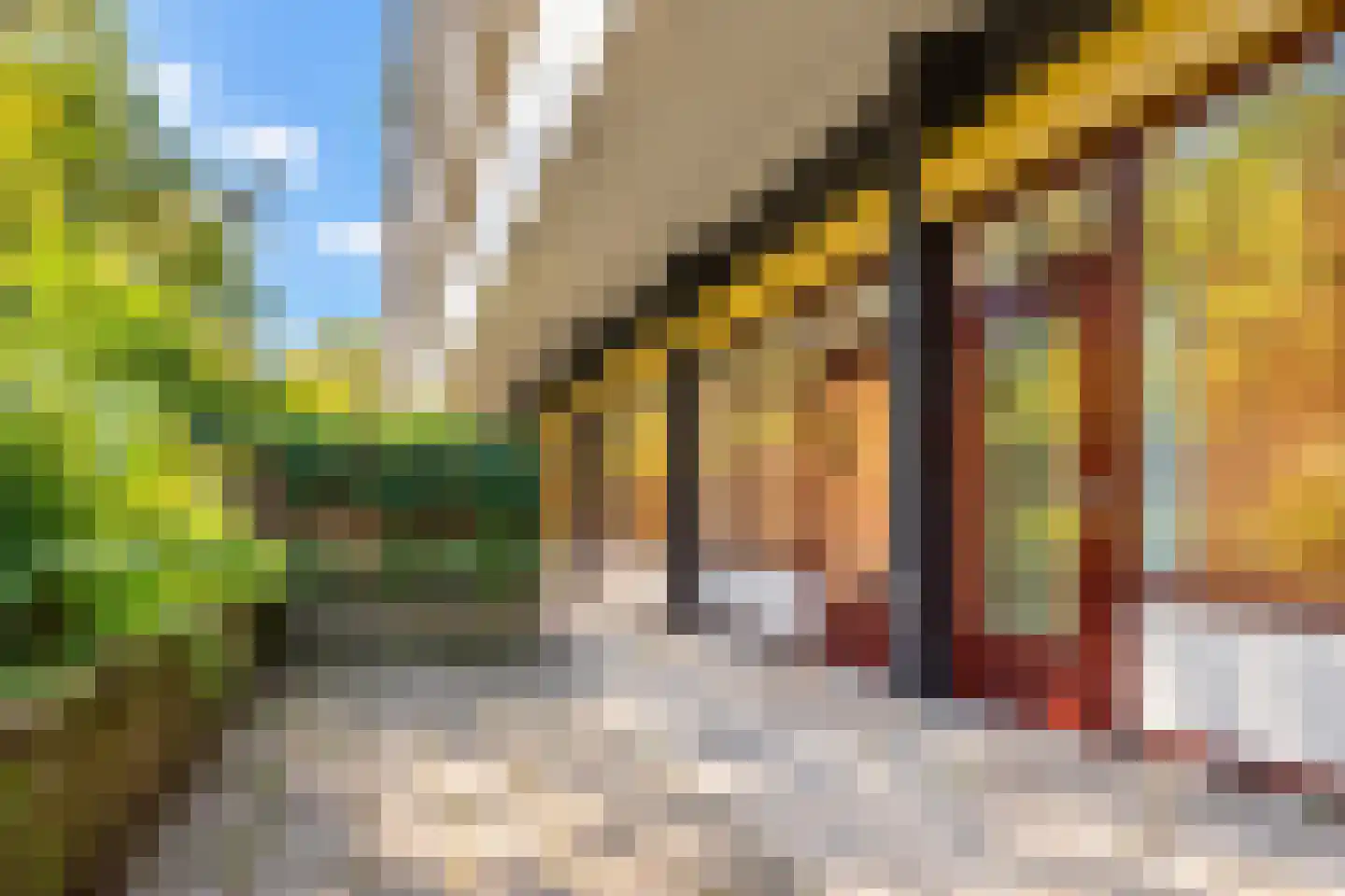 Bosuillaan 143 A Bilthoven thumbnail 25