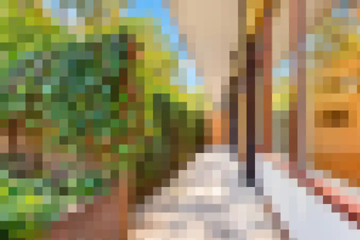 Bosuillaan 143 A Bilthoven thumbnail 8