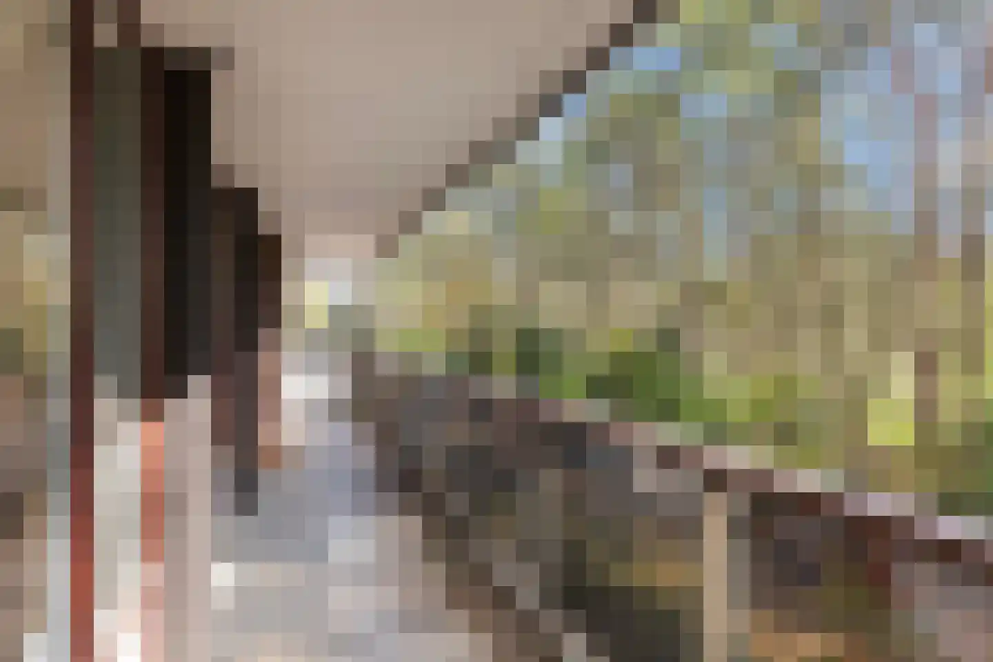 Bosuillaan 147 Bilthoven thumbnail 19