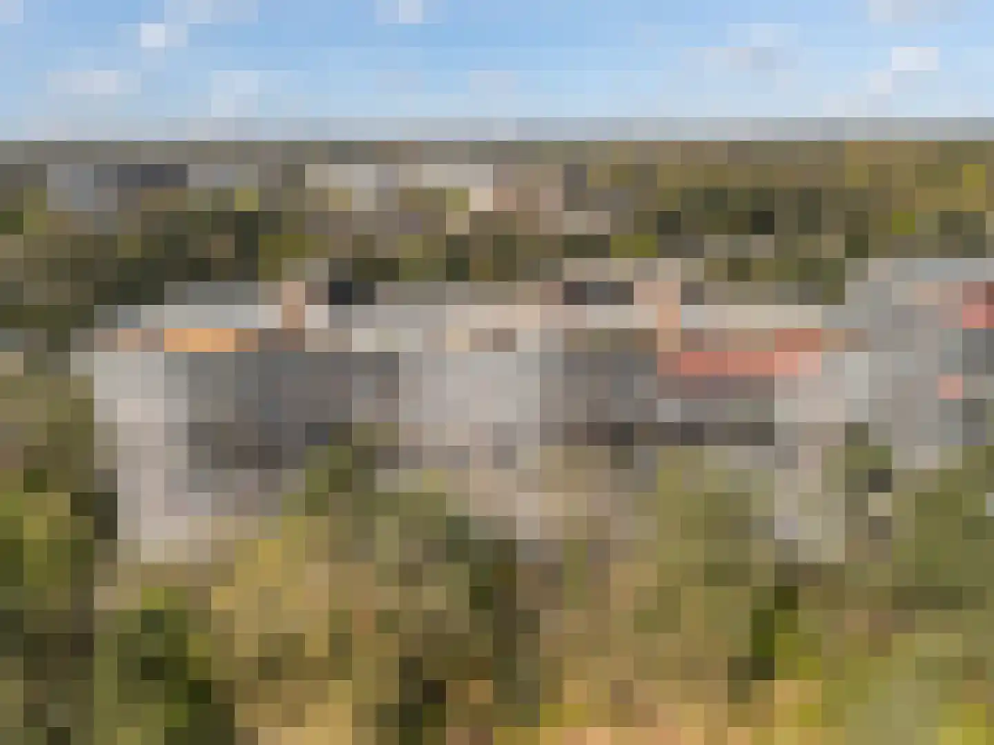Bosuillaan 147 Bilthoven thumbnail 21