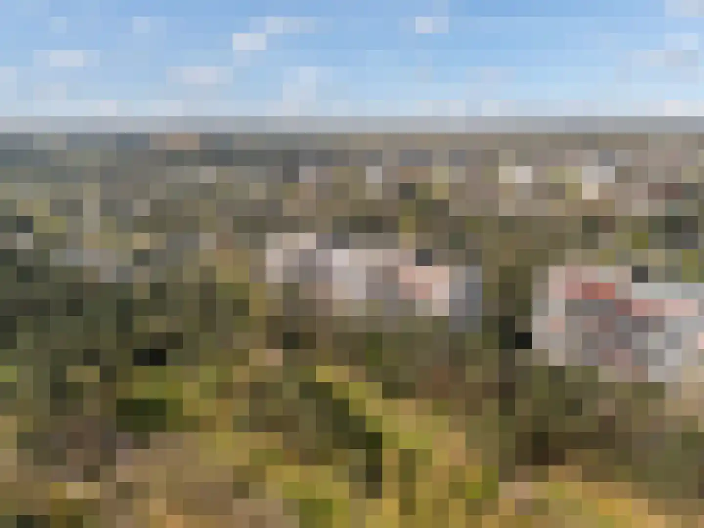 Bosuillaan 147 Bilthoven thumbnail 22