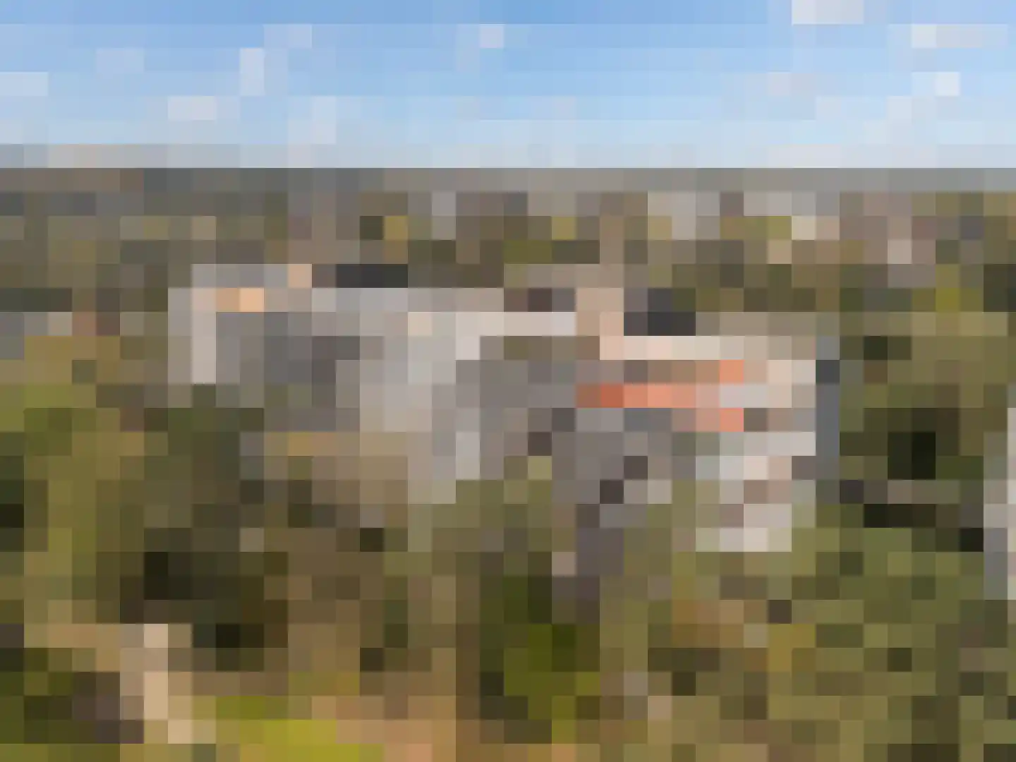 Bosuillaan 147 Bilthoven thumbnail 7