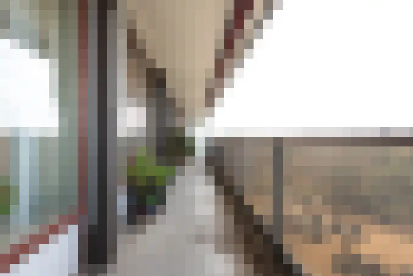 Bosuillaan 183 Bilthoven thumbnail 19
