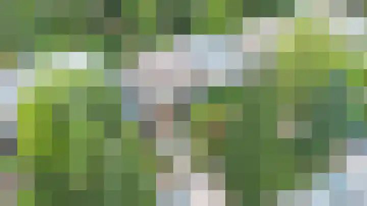 Bosuillaan 26 Bilthoven thumbnail 5