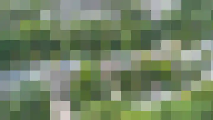 Bosuillaan 26 Bilthoven thumbnail 6