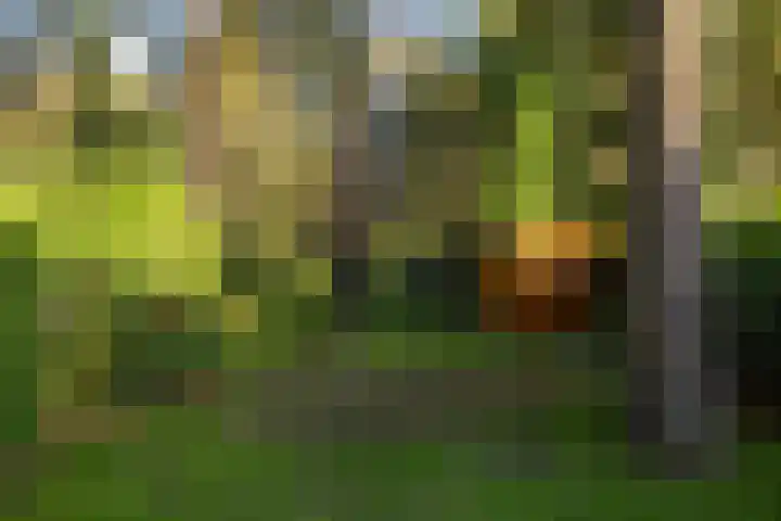 Bosuillaan 303 Bilthoven thumbnail 22