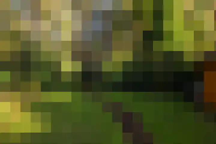 Bosuillaan 303 Bilthoven thumbnail 23