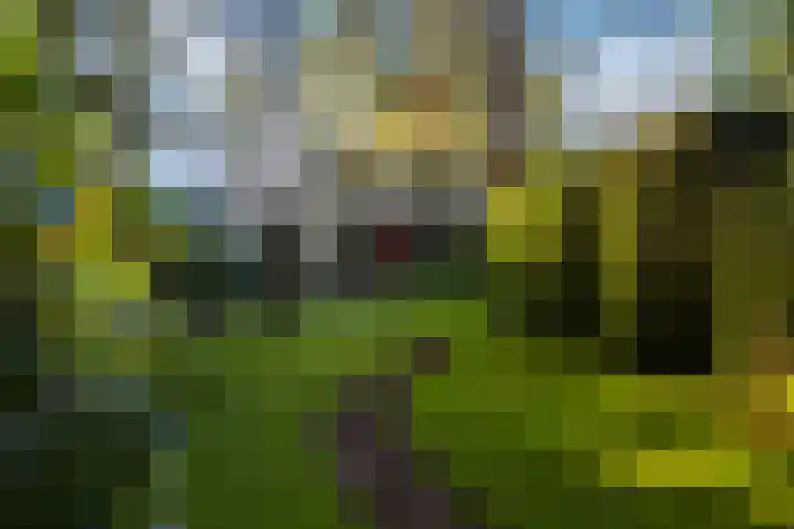 Bosuillaan 303 Bilthoven thumbnail 24
