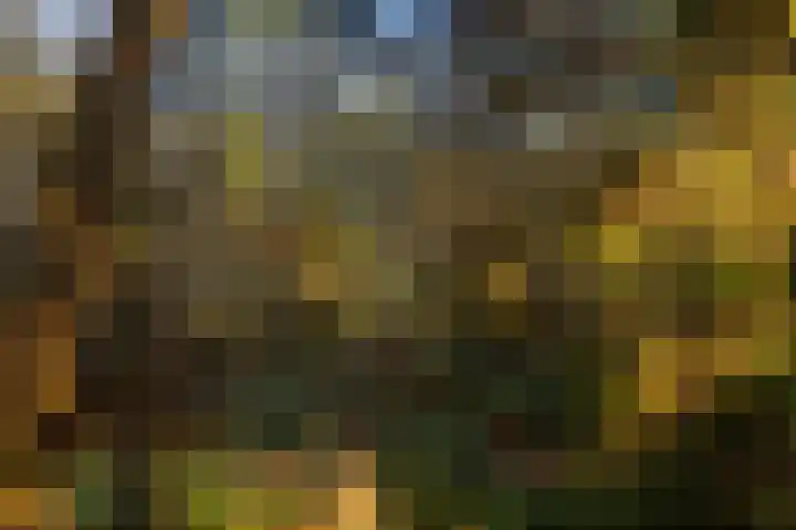Bosuillaan 303 Bilthoven thumbnail 25